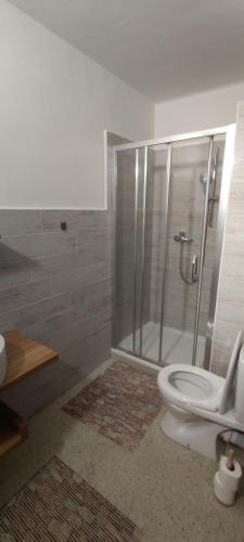 a bathroom with a shower with a toilet and a sink at Hájenka Nebe-apartmán NEBE in Kašperské Hory
