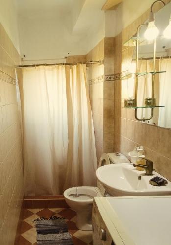 een badkamer met toilet, wastafel en douche bij Villa Irene in Kalymnos