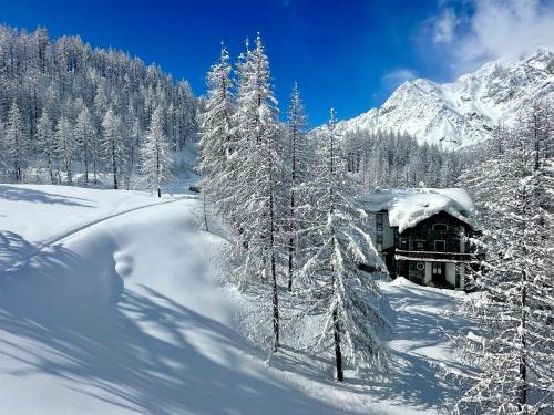 FLORA ALPINA EXPERIENCE - "Ski-to-Door" Brand New Chalet Apartments with Indoor Garage and Mountain View photo 3