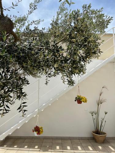 a white wall with two potted plants hanging from it at Masseria Causio in Giurdignano