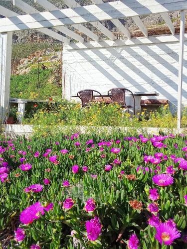 Galeriebild der Unterkunft Villa Irene in Kalymnos
