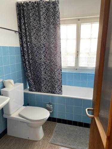 a bathroom with a toilet and a shower curtain at Séjour Edelweiss in Arolla