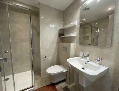 a bathroom with a toilet and a sink and a shower at DimaX Apartments in Budva
