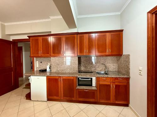 Kuchyň nebo kuchyňský kout v ubytování Mitro Guesthouse