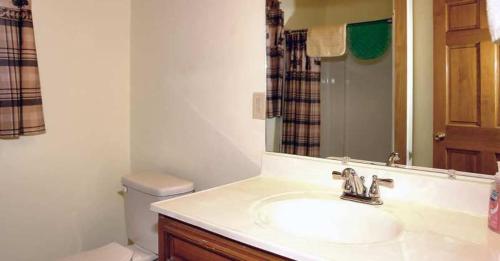 Country Cottage في نيوبورت: حمام مع حوض ومرحاض ومرآة