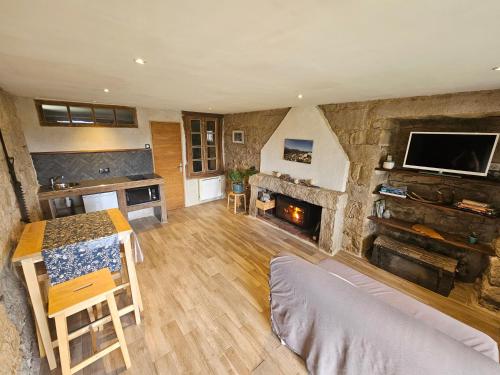 Il comprend un grand salon avec une cheminée et une télévision. dans l'établissement Appartement vue imprenable montagne, à Serra-di-Scopamene