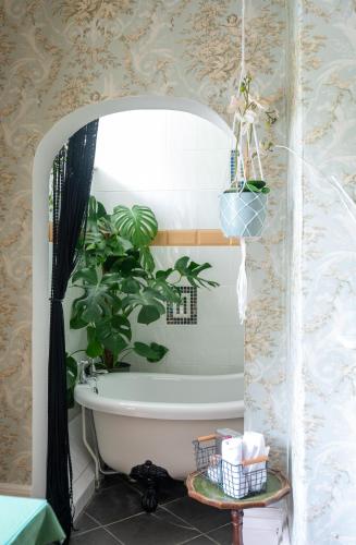 a bathroom with a tub with a plant in it at Enchanted Manor in Niton