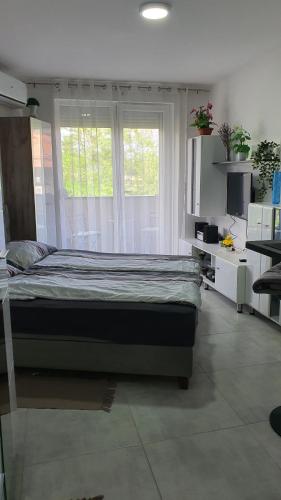 a bedroom with a large bed and a window at Harmony Srebrno jezero in Veliko Gradište