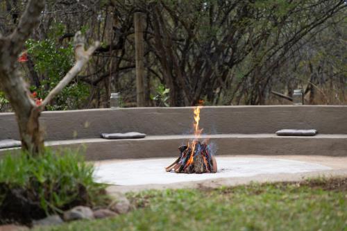 Κήπος έξω από το Braai Safaris Lodge