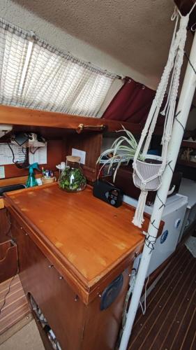 Sailboat land and sea, vegetated photo 2