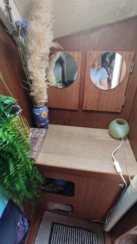 Sailboat land and sea, vegetated photo 3