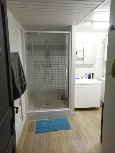 La salle de bains est pourvue d'une douche et d'un tapis bleu. dans l'établissement Maison avec piscine dans les Cévennes, à Saint-Paul-la-Coste