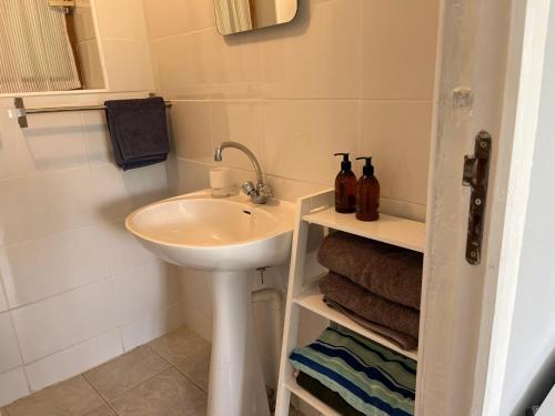 une petite salle de bain avec un lavabo et un évier dans l'établissement L'atelier aux fleurs sauvages Rebeuse Full of nature, à Corgnac-sur-lʼIsle