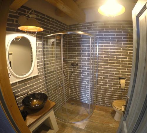 a bathroom with a shower and a toilet and a mirror at Apartmány U Šakala in Zdíkov