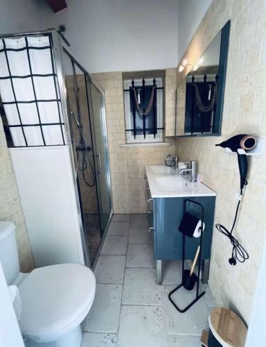 une salle de bain avec toilettes, douche et lavabo dans l'établissement Hébergement cosy, à Vidauban