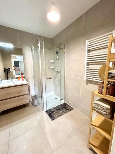 une salle de bain avec douche et lavabo dans l'établissement Rooftop Pool, à Villeneuve-Loubet