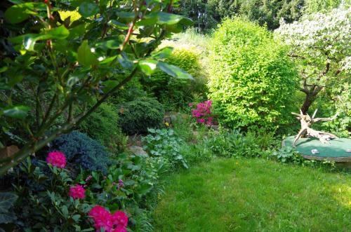 a garden with pink flowers and a bench in the grass at gemütliches Tiny House mit Kamin und Sauna in Steina