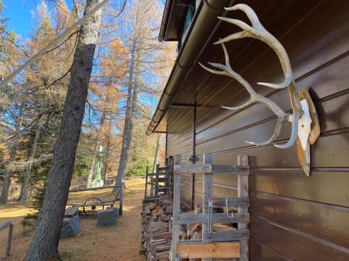 a barn with antlers on the side of it at Almhütte Steirische Botschaft in Aflenz Kurort