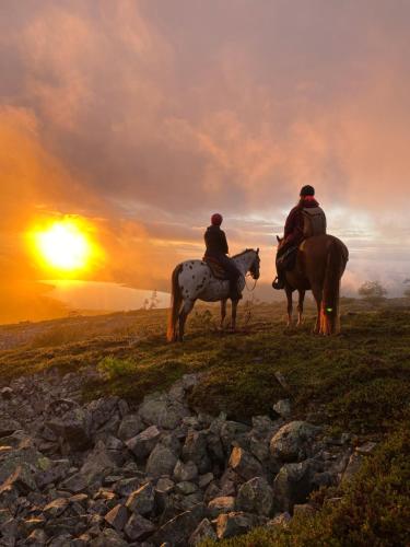 two people riding horses on a field at sunset at Luosto Jylhäkelo - a cozy loghouse in the heart of Lapland in Luosto