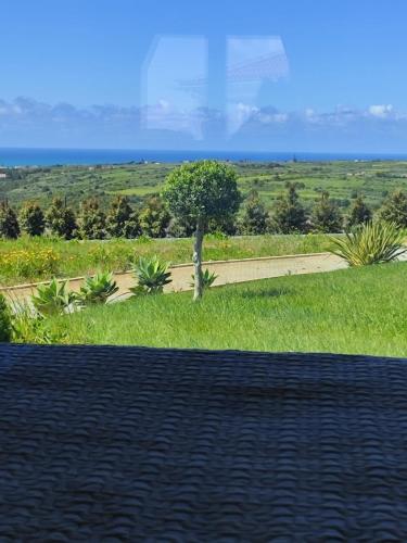 a view of a road with grass and a tree at Natural Park Heights in São João das Lampas
