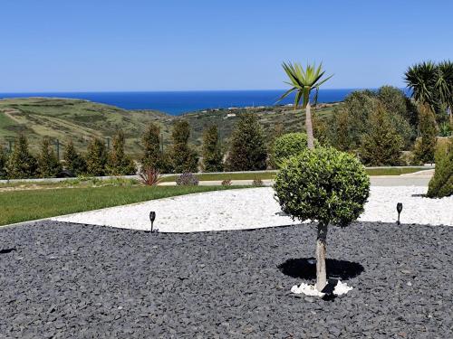 a small tree in the middle of a gravel yard at Natural Park Heights in São João das Lampas