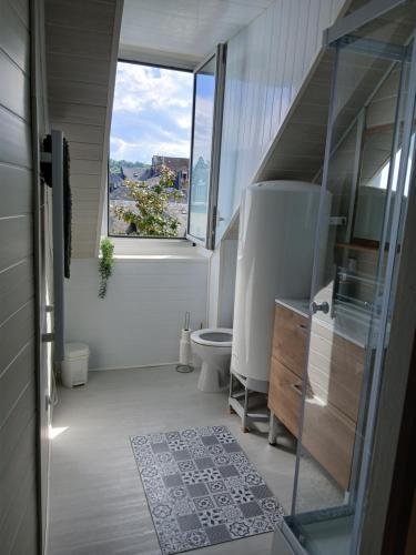 a bathroom with a toilet and a window at Charmant appartement au centre de Bagnères-de-Bigorre in Bagnères-de-Bigorre