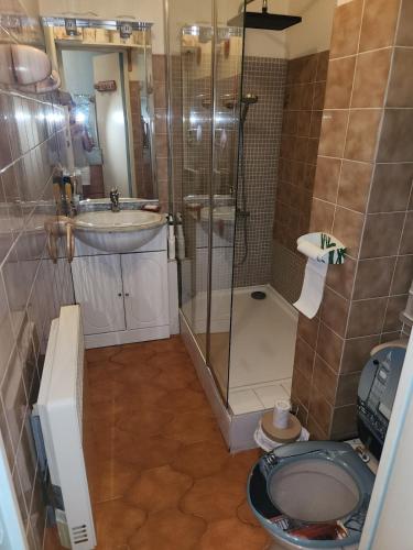 une salle de bain avec une douche, des toilettes et un lavabo dans l'établissement Six-Fours-les-Plages apartment, à La Celle-sous-Gouzon
