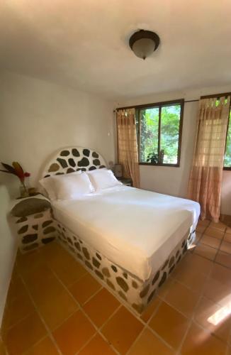 Jungle River Lodge