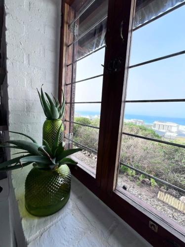 a plant in a vase sitting on a window sill at Yzerfontein 3 Bed House with Pool & Sea Views in Yzerfontein