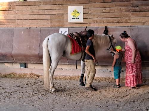 Un groupe de personnes debout autour d'un cheval dans l'établissement Uzès immersion, à Uzès