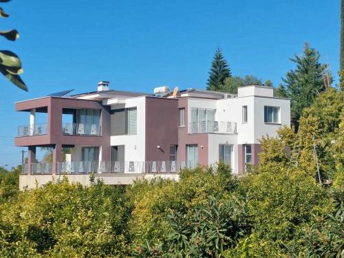 a large house on top of a hill with trees at Antonia - Christina Villa in Argaka