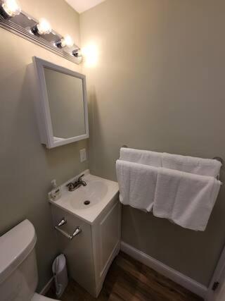 a bathroom with a sink and a toilet and a mirror at 201 Cabins in Jackman