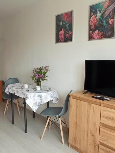 Telewizja i/lub zestaw kina domowego w obiekcie Słoneczne Centrum Apartament