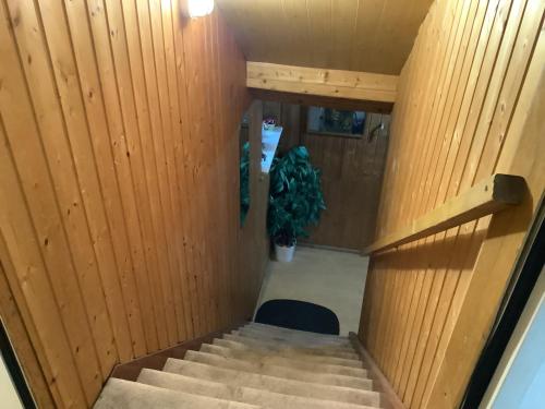 an overhead view of a staircase in a room with a plant at Schönes Zimmer im Seterant/Untergeschoss in Essen
