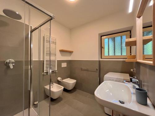 a bathroom with a shower and a sink and a toilet at Mountain Chalet Tre Marie in Cavalese