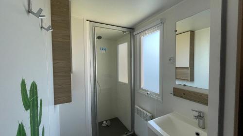 une salle de bain avec un lavabo et un miroir dans l'établissement Mobilhome Eleganzia - Cc921 Les Charmettes 4 stars, aux Mathes