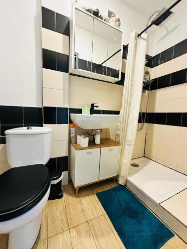 une salle de bain avec toilettes, lavabo et douche dans l'établissement Le cosy du Panier, à Marseille
