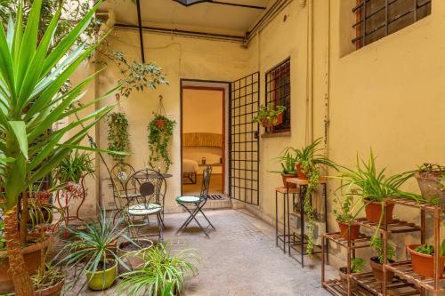 Glam Nest & Garden Colosseum