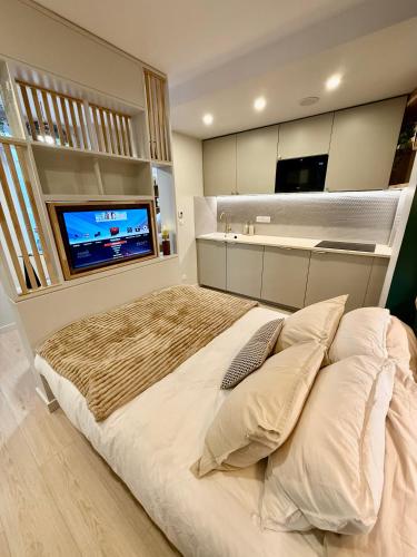 une chambre avec un grand lit et une télévision à écran plat dans l'établissement Calme & Élégance Studio de Charme proche Centre, à Aix-les-Bains