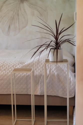 a plant sitting on top of two tables next to a bed at Lawendowy Raj in Pilchowice