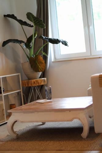 a wooden bench in a living room with a potted plant at Lawendowy Raj in Pilchowice