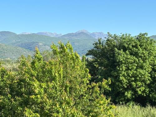 a group of trees with mountains in the background at Casa Vacanze Cimorelli in Venafro