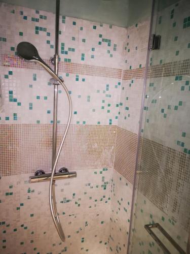a shower with a shower head in a bathroom at Villa Liberty GHIRADA 1924 in Treviso