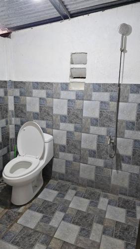 a bathroom with a toilet and a shower at Josephine's Villa - Bangar, LU (up to 15 guests) in Bangar