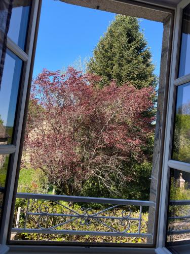 - une vue sur un arbre à feuilles rouges dans l'établissement L'oustal del païs, à Rilhac-Xaintrie