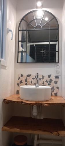 a bathroom with a sink and a mirror at Le cabanon in Le Massegros