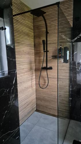 a bathroom with a shower with a glass door at Mazurski Zakątek Orzyny in Orzyny