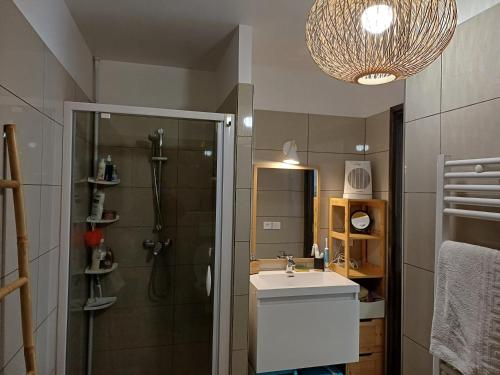 une salle de bain avec douche et lavabo dans l'établissement Appartement T2 CANNES LA BOCCA, à Cannes