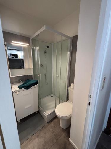 une salle de bain avec une douche, des toilettes et un lavabo dans l'établissement Studio cosy avec parking et balcon, à Toulouse
