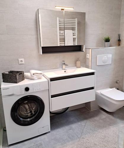 a bathroom with a washing machine and a sink at RegioStyle Apartment an der Müritz in Waren